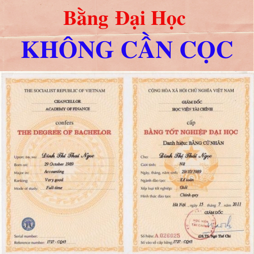 Làm bằng đại học