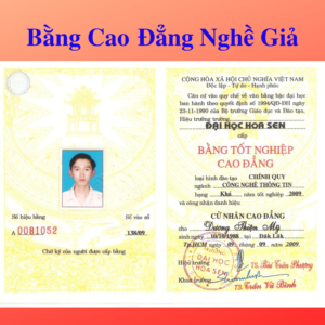 Bằng cao đẳng nghề giả